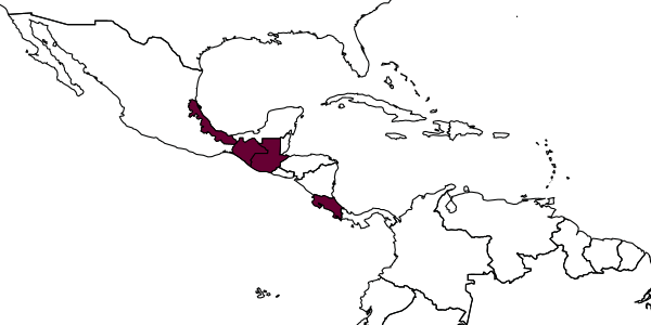 map of Neocorynura centroamericana     Smith-Pardo, 2005